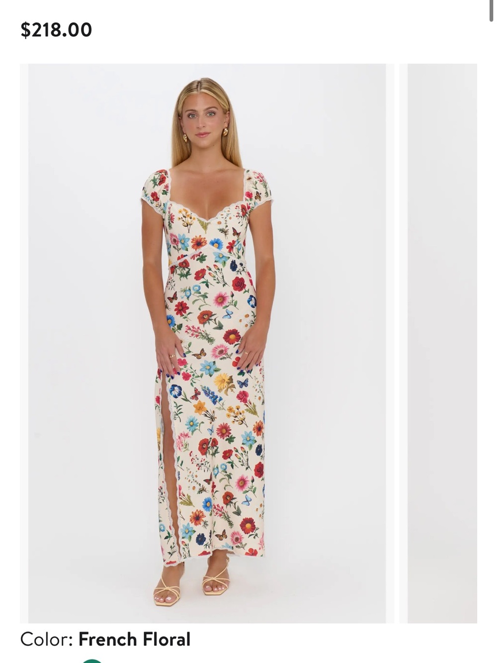 Show Me Your MuMu - NWT Nicola Dress - French Floral